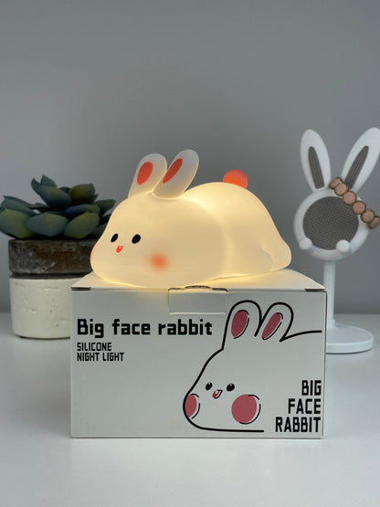 🐇Sleep Buddy🐇 + cadeau twv €15