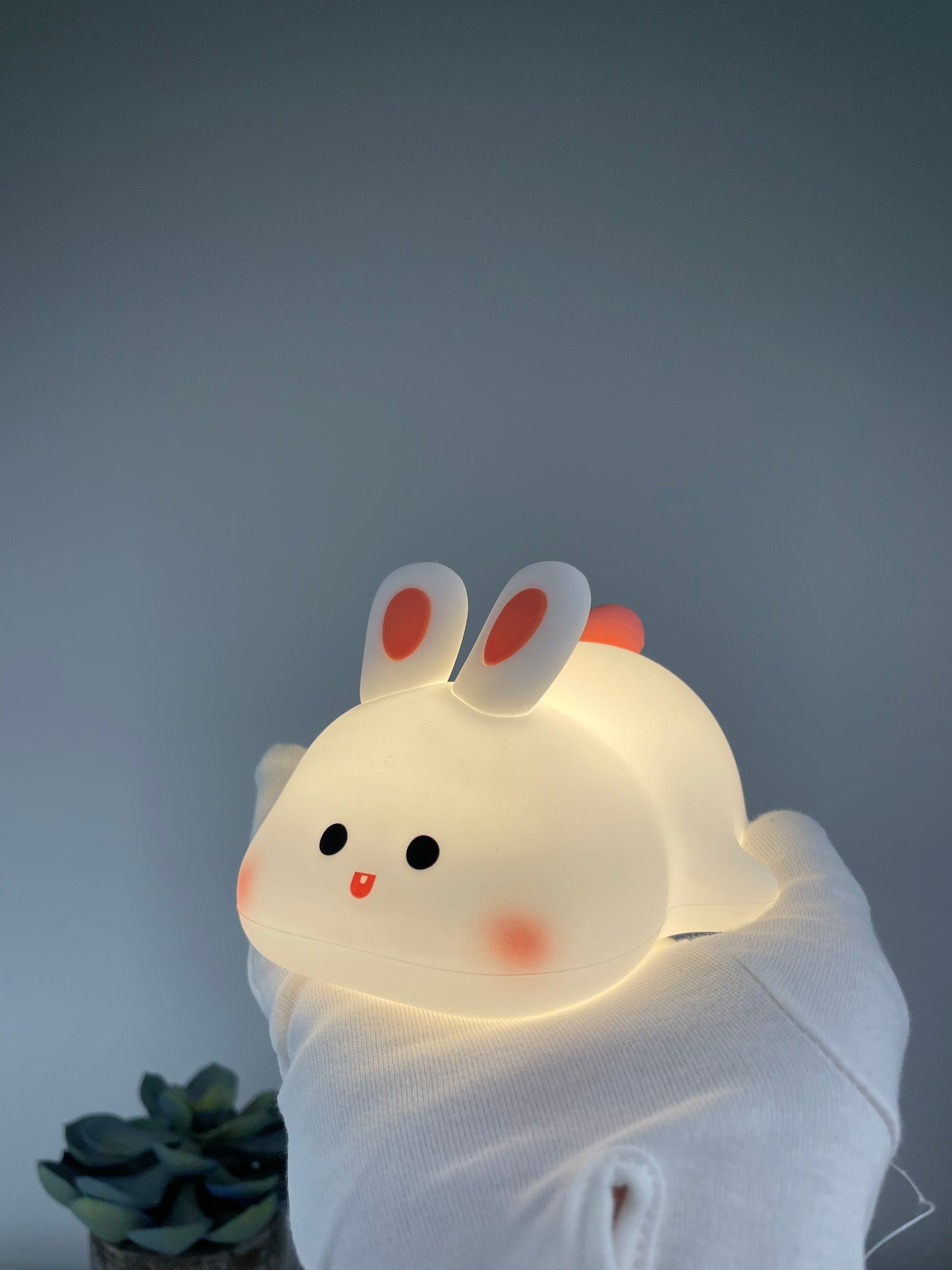 🐇Sleep Buddy🐇 + cadeau twv €15