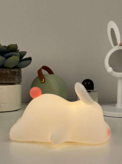 🐇Sleep Buddy🐇 + cadeau twv €15