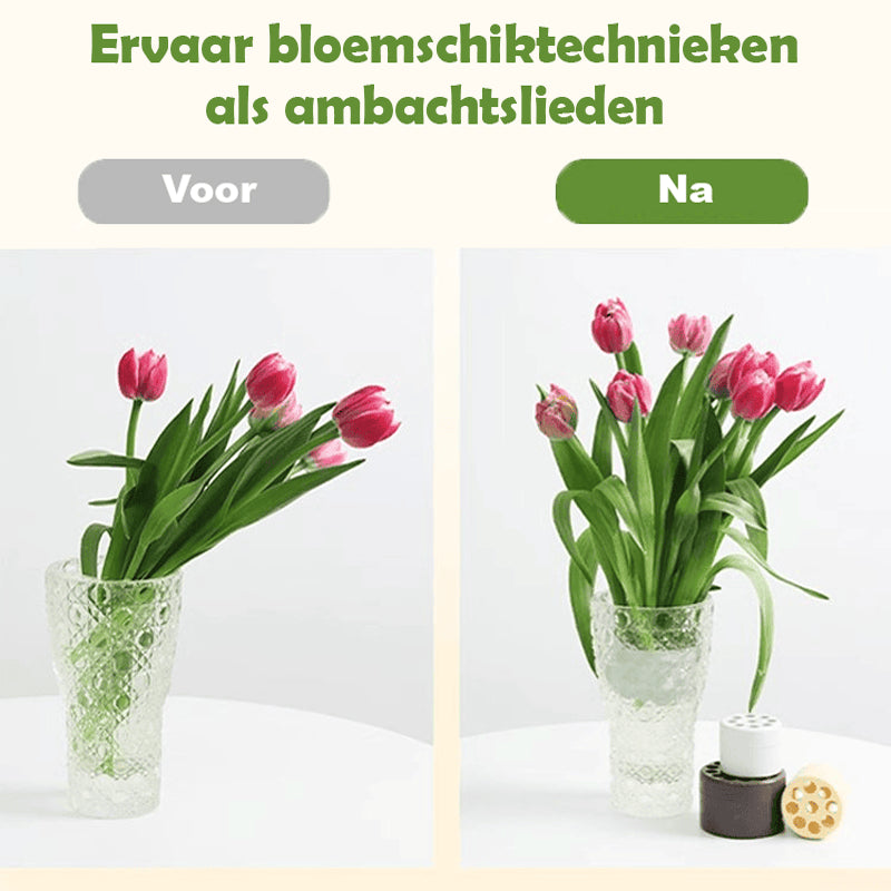 Flower bloom | 1+1 Gratis